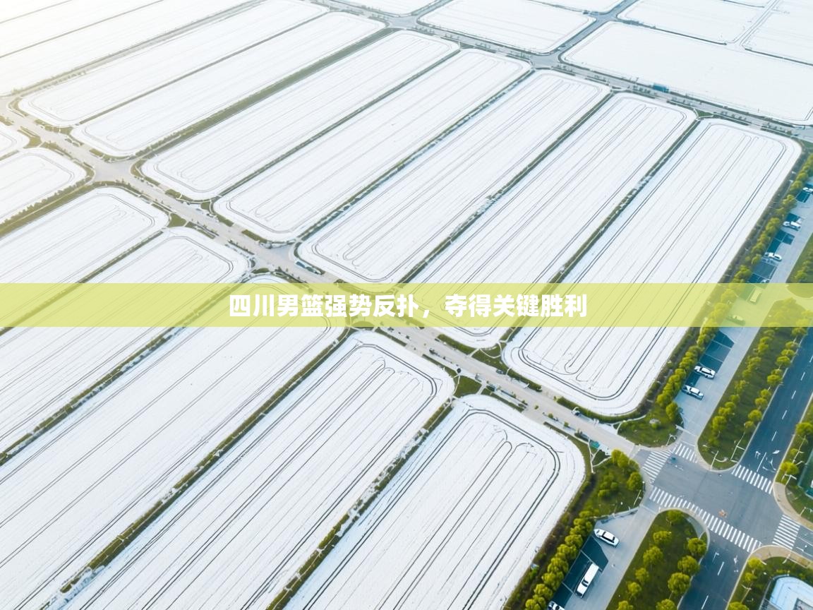 四川男篮强势反扑，夺得关键胜利  第2张