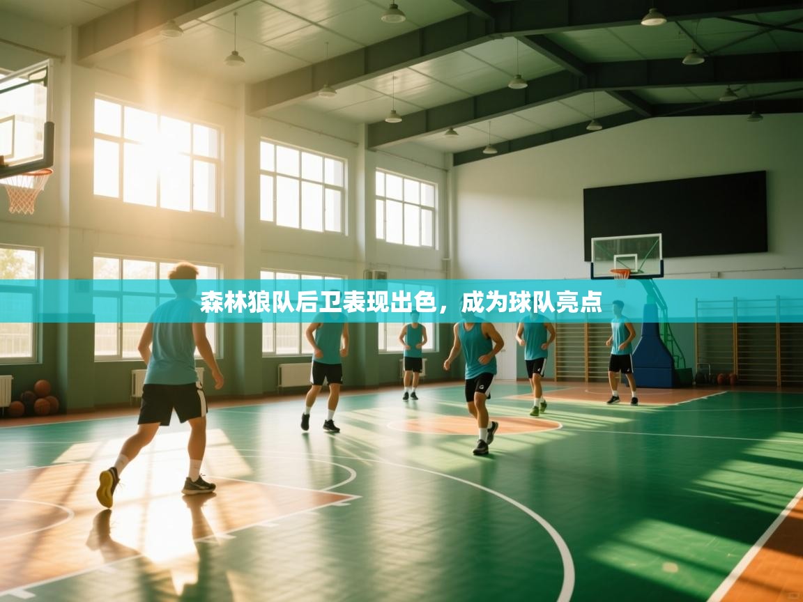 森林狼队后卫表现出色，成为球队亮点  第1张