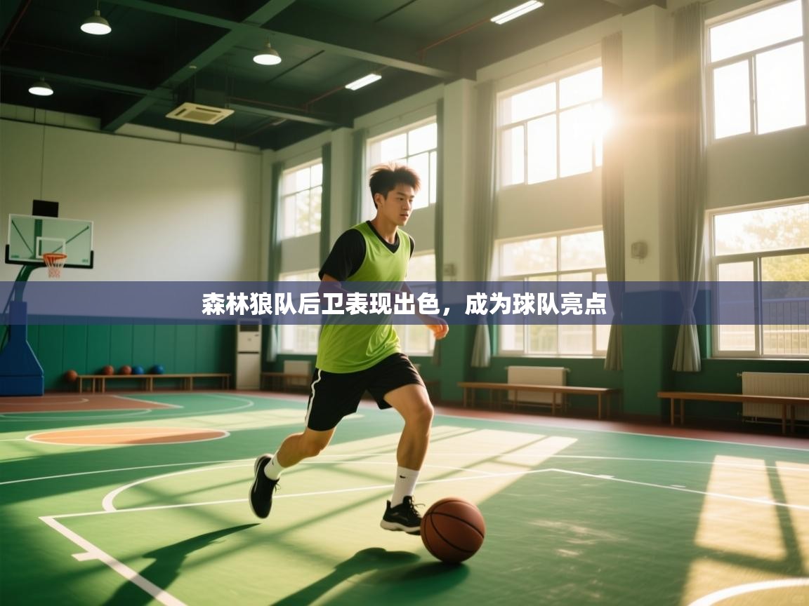 森林狼队后卫表现出色，成为球队亮点  第2张