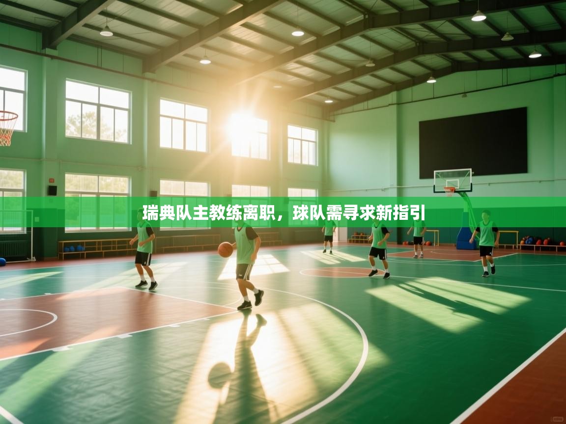 瑞典队主教练离职,球队需寻求新指引 第1张