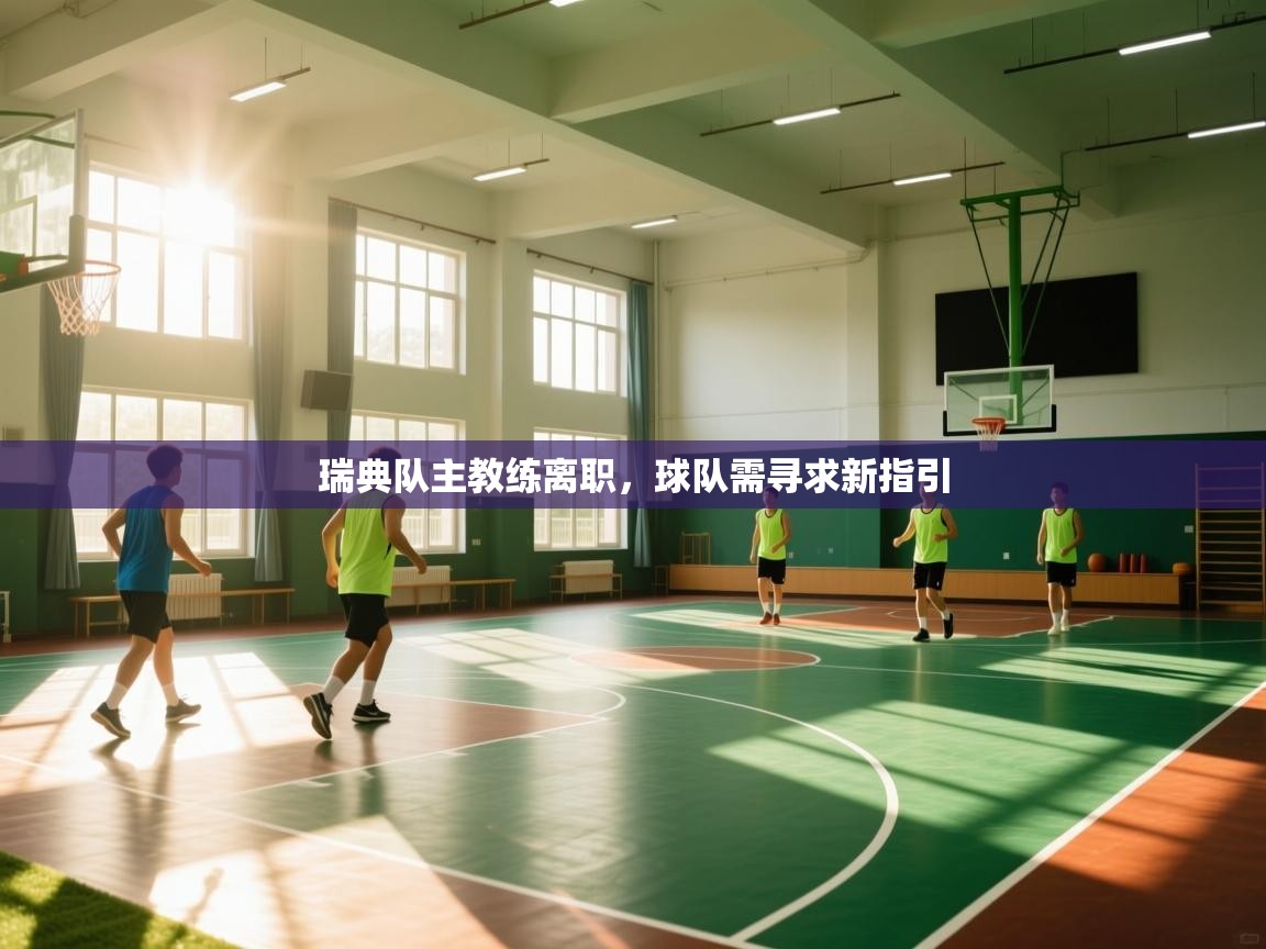 瑞典队主教练离职,球队需寻求新指引 第2张